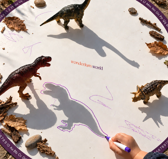 Toy dinosaurs, natural materials and hand-drawn shadows on a blank Wonderium learning mat